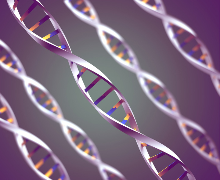 Genetic engineering advantages and disadvantages essay