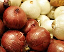 What is the name of the small type of onion that is often used for ...