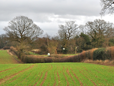 UK Farming 02