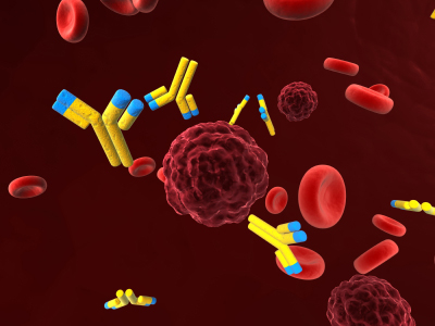Circulatory System 02