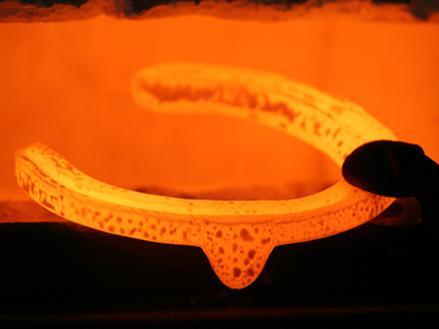 Reactions of Metals 01