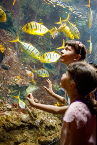 Children on educational day out at aquarium