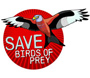 RSPB Wildlife Explorers Save birds of prey appeal