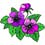 Alpines