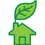 Houseplants Quizzes