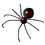 Insects and Spiders