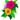 Annuals Quizzes