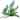 Ferns and Grasses Quizzes