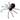 Insects and Spiders Quizzes