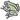 Reptiles and Amphibians Quizzes