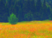 Impressionist painting of tree in field