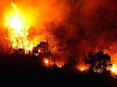 A large wildfire burning through a forest at night, with tall flames and smoke rising above the trees.