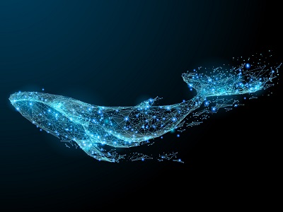 A glowing digital illustration of a whale made from blue connected lines and dots, representing technology and nature combined in a futuristic style.