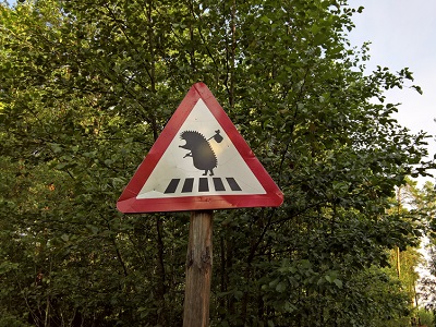 A triangular red road sign in a forest showing a cartoon hedgehog carrying a bundle while crossing a zebra crossing, representing hedgehog crossing awareness.