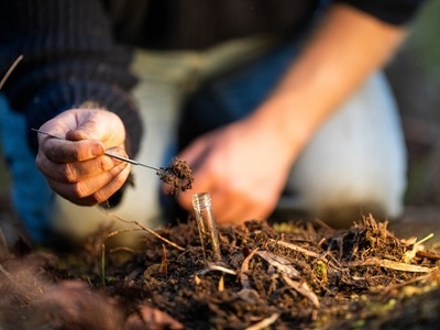 Close-up of a person collecting a soil sample from the ground with a tool and placing it into a vial, representing agricultural research and AI-assisted farming studies.