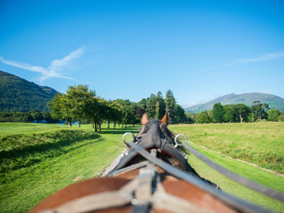 Horse and wagon on a summer's day