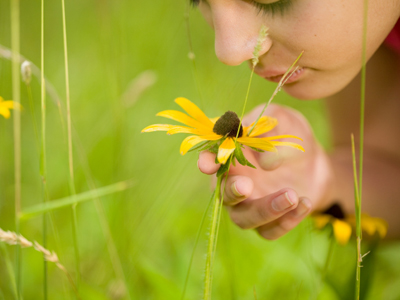 Biology - Detecting our Environment