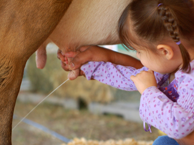 Staying Healthy - Where Does Our Food Come From?