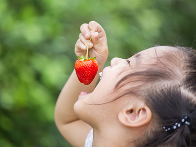 Child eating strawberries