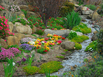 Stream in a garden