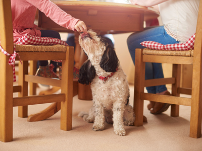 Children feeding the dog under the table