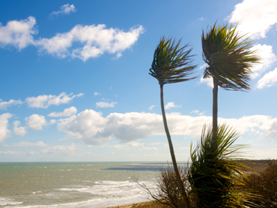 Natural Hazards and Diseases