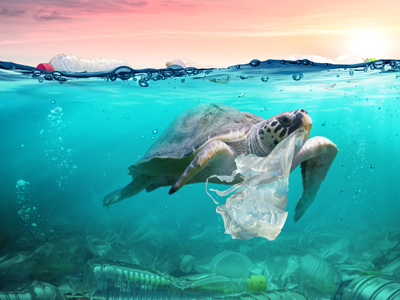 A turtle eating a plastic bag