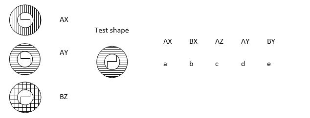 looking-at-a-shape-and-making-a-code-3