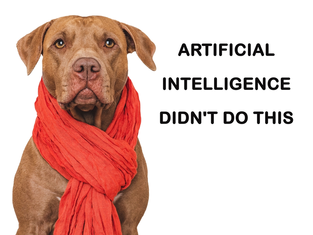 Dog wearing scarf - not created by AI