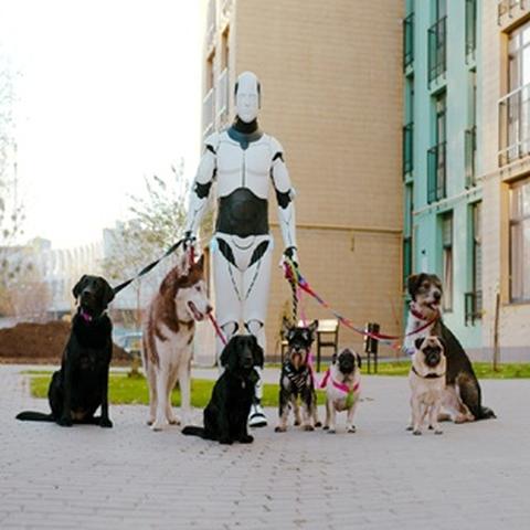 Robot walking dogs
