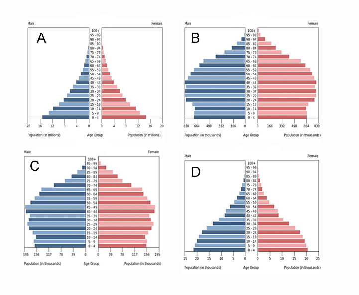 GCSE Geography | Information from data during fieldwork studies