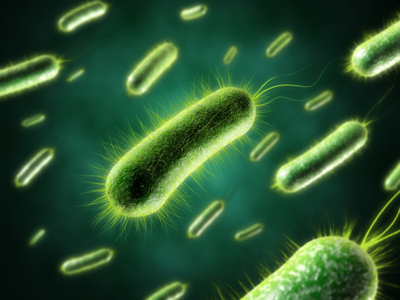 Biology - Superbugs (AQA)