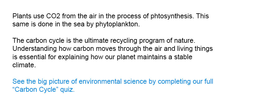 Plants use CO<sub>2</sub> from the air in the process of photosynthesis. This same is done in the sea by phytoplankton.

See the big picture of environmental science by completing our full Carbon Cycle quiz.
The carbon cycle is the ultimate recycling program of nature. Understanding how carbon moves through the air and living things is essential for explaining how our planet maintains a stable climate.