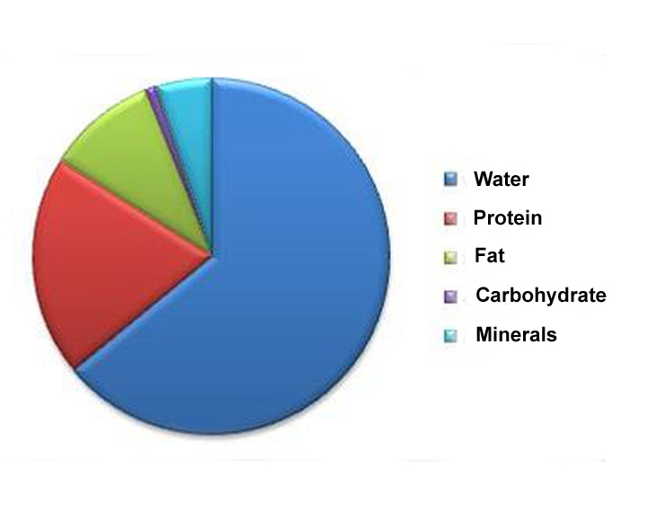 Gcse Pie Charts