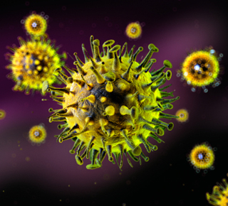 Virus Illustration
