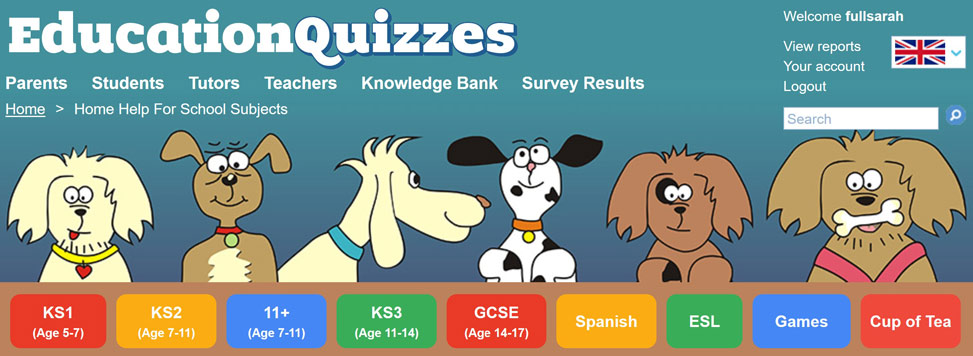 Banner Image Row of Dogs