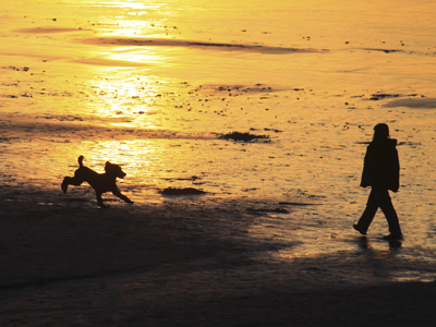 Child walking dog on beach in evening