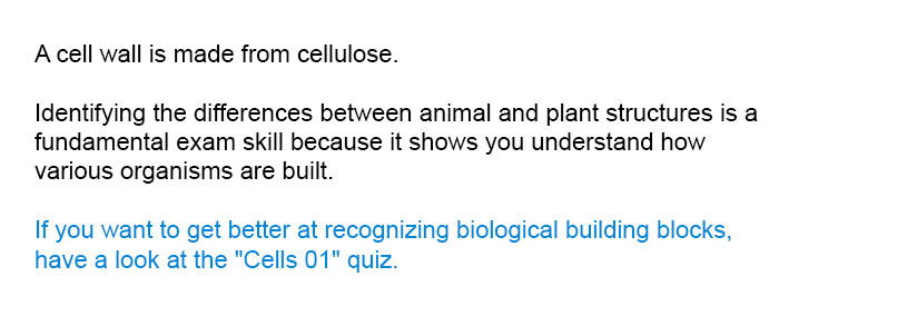 A cell wall is made from cellulose.