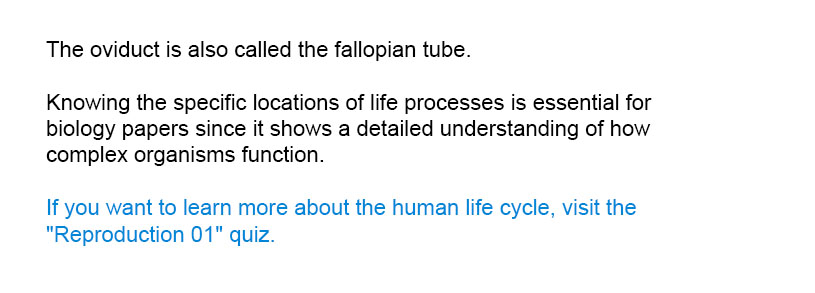 The oviduct is also called the fallopian tube.