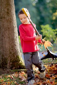 Young boy doing gardening to earn pocket money