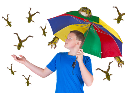 Extreme Weather Quiz | Raining Frogs