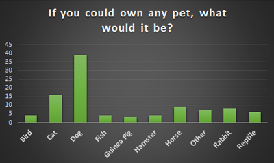 Favourite Pet - Schoolchild Survey - Graph from Education Quizzes 

