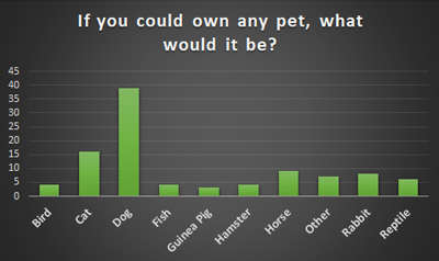 Favourite Pet - Schoolchild Survey - Graph from Education Quizzes 
