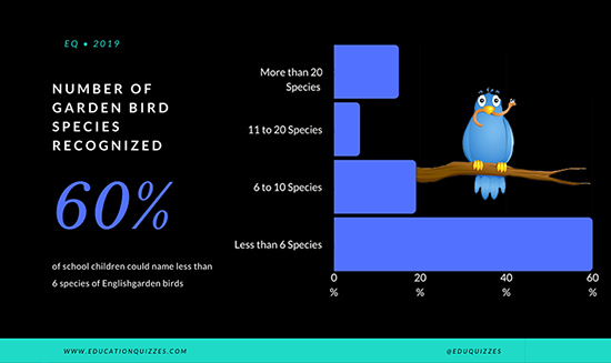 Garden Bird Recognition – Schoolchild Survey – Graph from Education Quizzes