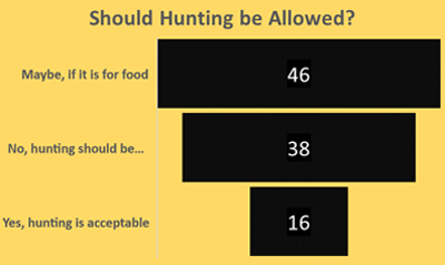 Should hunting be allowed - Schoolchild Survey - Graph from Education Quizzes 
