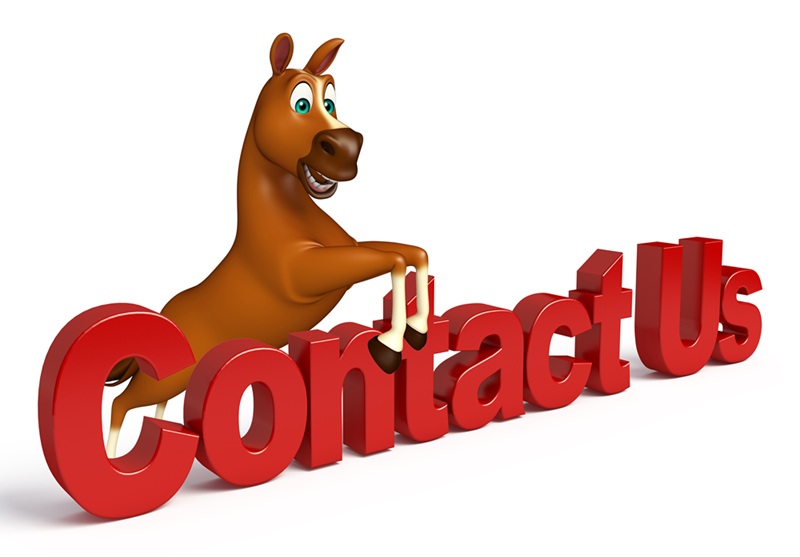 Cartoon Horse Jumping a Fence