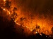 A nighttime view of a forested hillside with a bright line of wildfire burning through the trees, sending an orange glow and smoke into the dark sky.