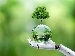 A robotic hand holding a glass globe with a tree growing from it, set against a bright green background, symbolising AI’s role in protecting the environment.