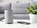 A grey smart speaker sitting on a white table next to a smartphone, with a green potted plant and a grey sofa in the background, showing a modern home setting.