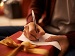 Close-up of a person sitting down and writing a message on white paper resting on a wrapped Christmas present with a golden ribbon.